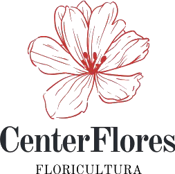 Center Flores